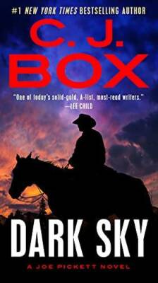 Dark Sky (A Joe Pickett Novel) - Paperback By Box, C J - GOOD
