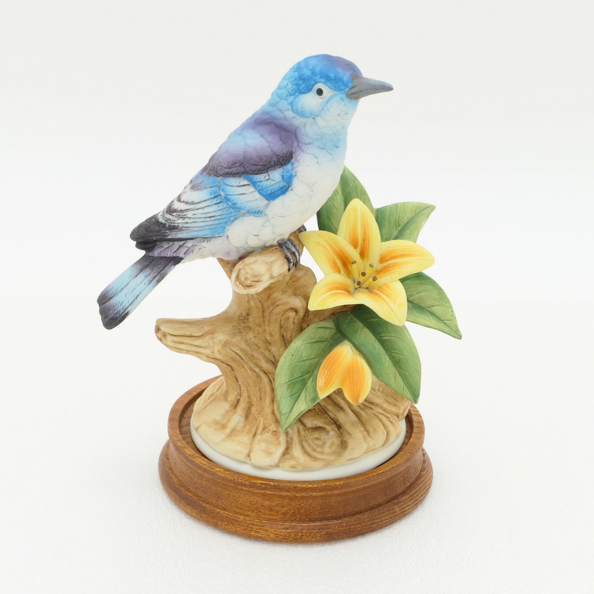 【新作】 Fontaine Birdie 楽天市場】小鳥用おもちゃ インコ用スケボー インコ用スケート