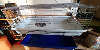 Meerschweinchen-Käfig 120x60 cm 2. Etage  VERSAND SIEHE BESCHREIBUNG AUF WUNSCH!