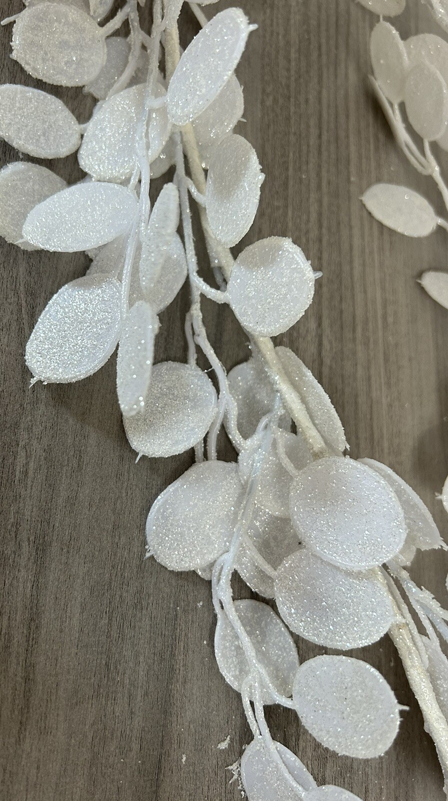 Picture 6 of 10