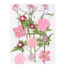 16 Pcs Dried Pressed Flowers Real Natural Dry Flowers Leaves Set for Resin Mo...