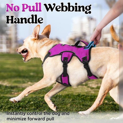 rabbitgoo No Pull Hundegeschirr verstellbar weich gepolstert Weste reflektierend lila L - Bild 4 von 8