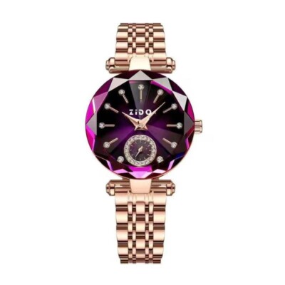 Watch for Women Luxury Ladies Watches Quartz Wristwatches Waterproof Steel Watch