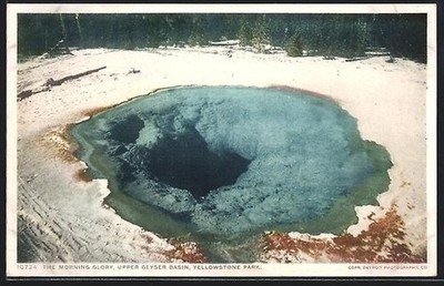 Yellowstone Park, The Morning Glory, Upper Geyer Basin, Geysir, Ansichtskarte 