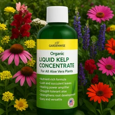 Organic Kelp Seaweed Fertilizer 🌿 Liquid Plant Food for Indoor & Outdoor Growth