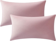 Lumbar Pillow Covers 12x20 Pink: Pack of 2 Cozy Soft Velvet Rectangular Modern L