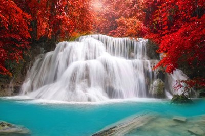 Wandbild: Wasserfall im tiefen Regenwalddschungel (Wasserfall Huay Mae [...]