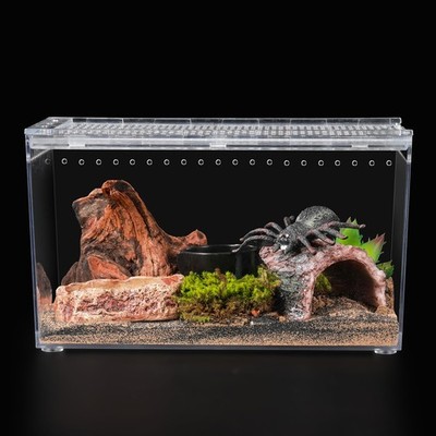Reptile PC Terrarium 10.2x5.9x5.7 Inch Full View Tank Tarantula Insect Crab