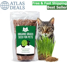 Organic Cat Grass Seeds – Wheat & Rye Blend for Hairball Control, 8 oz