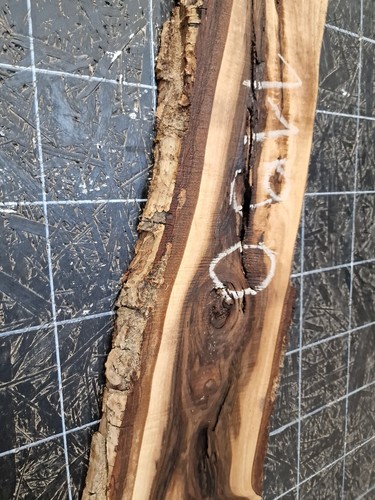 ITALIAN WALNUT LIVE EDGE SLAB KILN DRIED HARDWOOD (1190) 930x170-220 x30mm - Picture 6 of 11