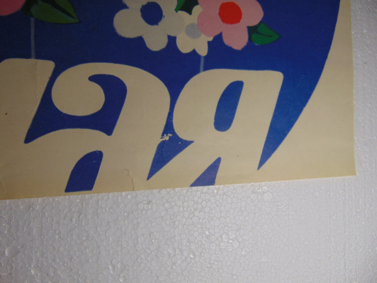 Picture 4 of 5