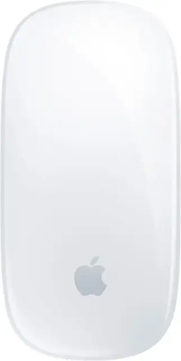 Apple MXK53AM/A Multi-Touch Surface (USB-C) Wireless Magic Mouse
