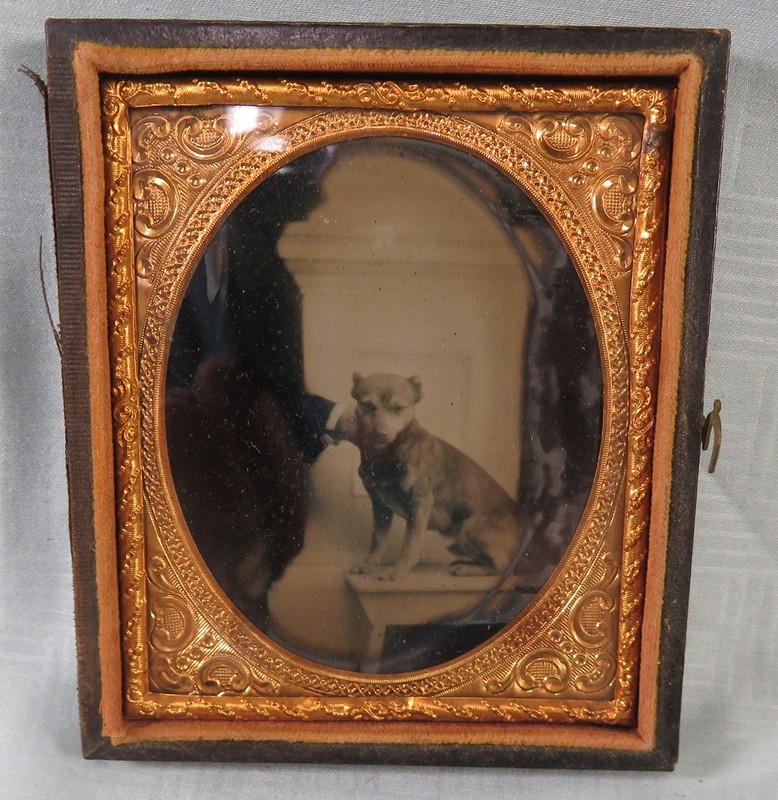 1850s 6TH Plate Ambrotype of Terrier dog and Hidden Man