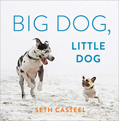 Big Dog, Little Dog - Hardback NEW Casteel, Seth 2020