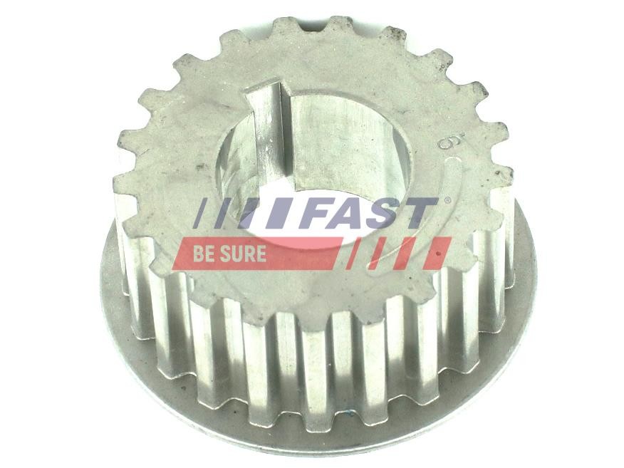 FAST FT45605 Gear, balance shaft for CITROËN,FIAT,LANCIA,PEUGEOT