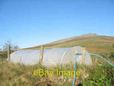 Photo 6x4 Growing vegetables under cover at Pant Glas Uchaf with Mynydd G c2006