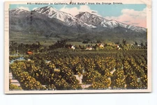Midwinter California Old Baldy From Orange Groves CA WB Postcard Vtg Posted 1929