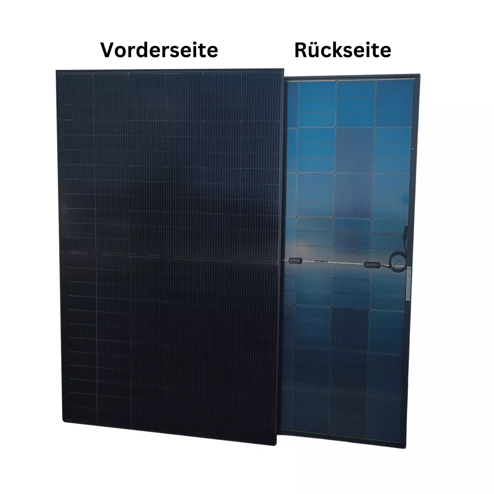 Bild 3 von 12