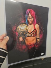 2017 Leaf Wrestling Autographed Photograph Edition 17