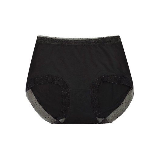 Elegant Lingerie Women's Briefs Underwear Sexy Lace Hipster Underwear Comfort