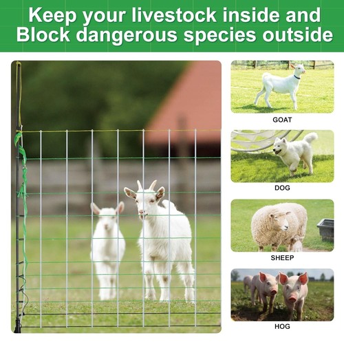 Versatile Electric Fence Netting 35.4"H x 98.42"L for Goats, Sheep & Gardens - Picture 6 of 8