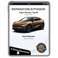 Cupra Tavascan Kr Ab 2023 Hochvoltsystem Allgemeine Infos Werkstatthandbuch Pdf