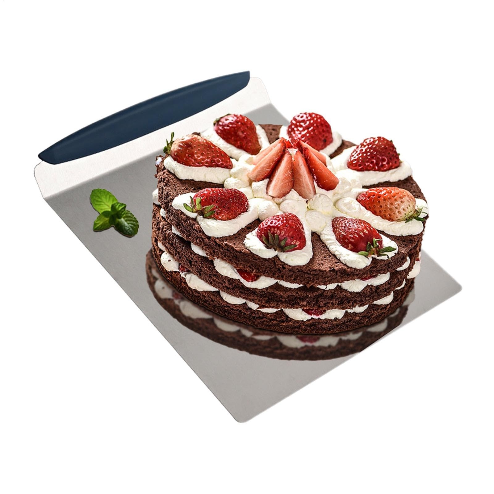 Pizza Transfer Mover zwxqe - Acciaio Inox con Tecnologia Anti-Attrito