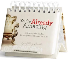 Already Amazing Daybrightener Perpetual Calendar - Holley Gerth - Good - See...
