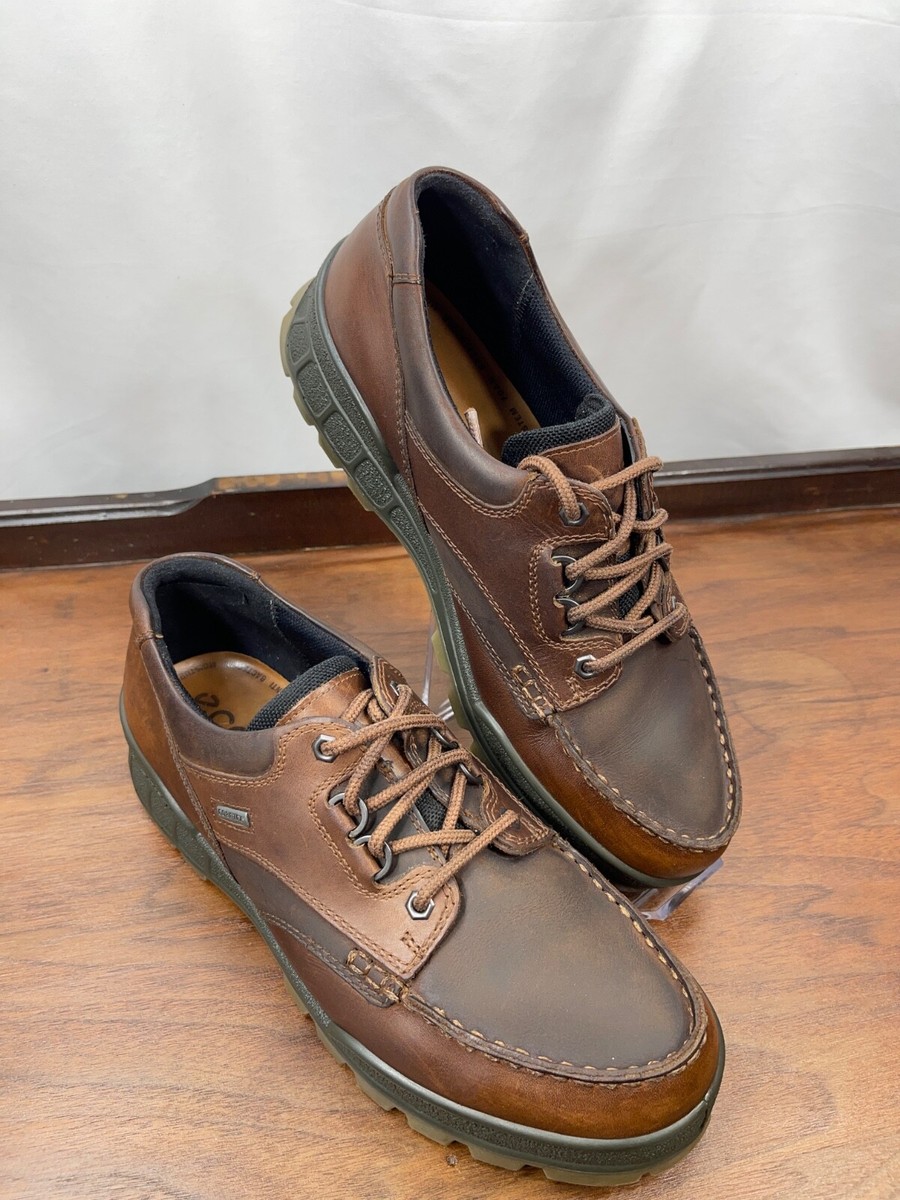 Ecco Track 25 Low GTX Bison Gore-Tex Hiking Leather Shoe US EUR 44  EUC