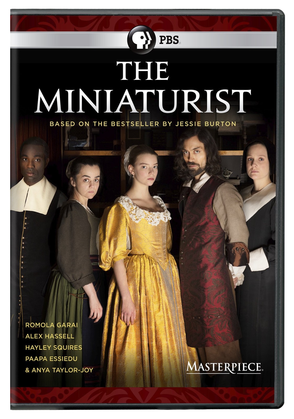 Masterpiece: The Miniaturist DVD (DVD)