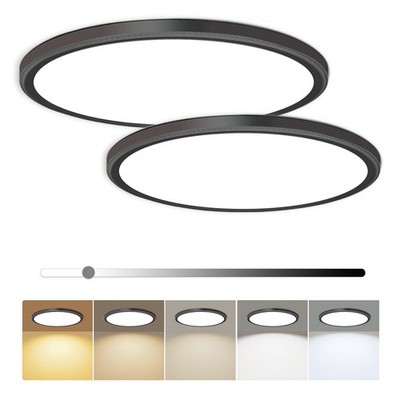2 Pack 12 Inch 28W Black Dimmable LED Flush Mount Ceiling Light Fixture