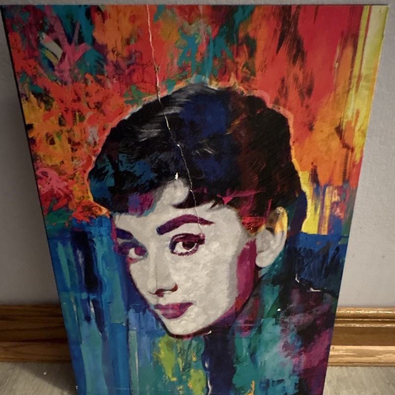 Pop Art Abstract Woman Portrait Canvas Painting Wall Art, Unframed Single