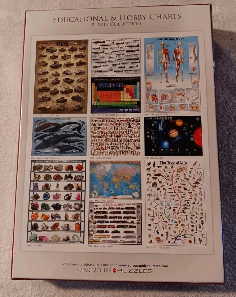 Albert Einstein Tongue 1000-Piece Puzzle - New Sealed Made In USA - Image 3 of 4