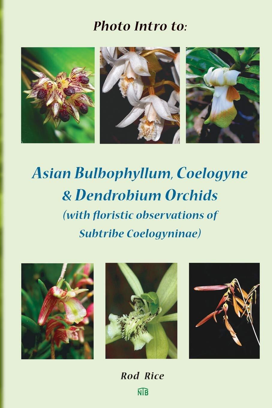 Thumbnail - Rod Rice Photo Intro To: Asian Bulbophyllum, Coelogyne & Dendrobiu