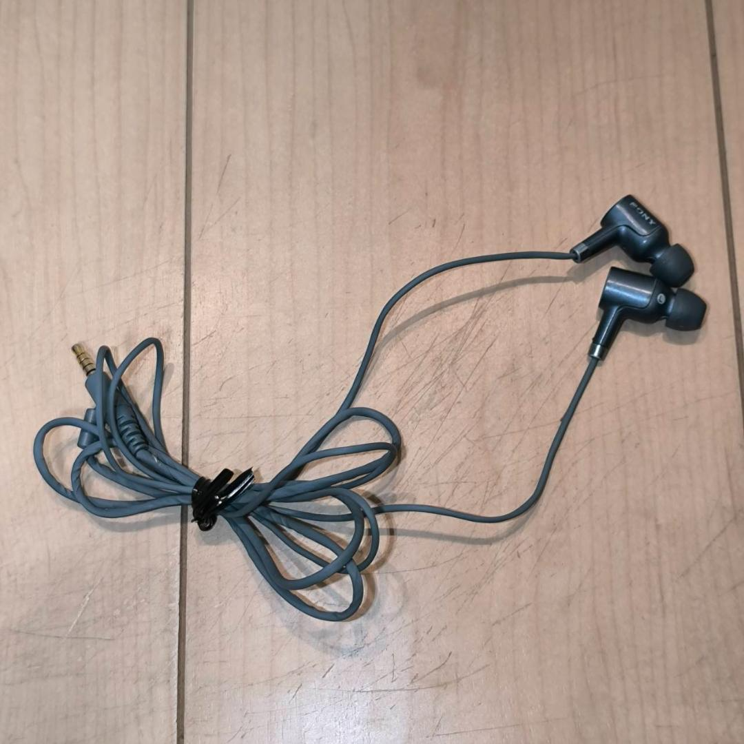 Sony Walkman IER-NW500N Wired In-Ear Headphones with High-Res Audio in Black