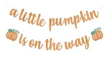 Pumpkin Baby Shower Decorations A Little Pumpkin is On the Way Banner T-27 