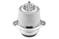 Motorlager Tedgum TED15116 FüR VW Touareg 7P5 7P6 VAN TDI 4Motion
