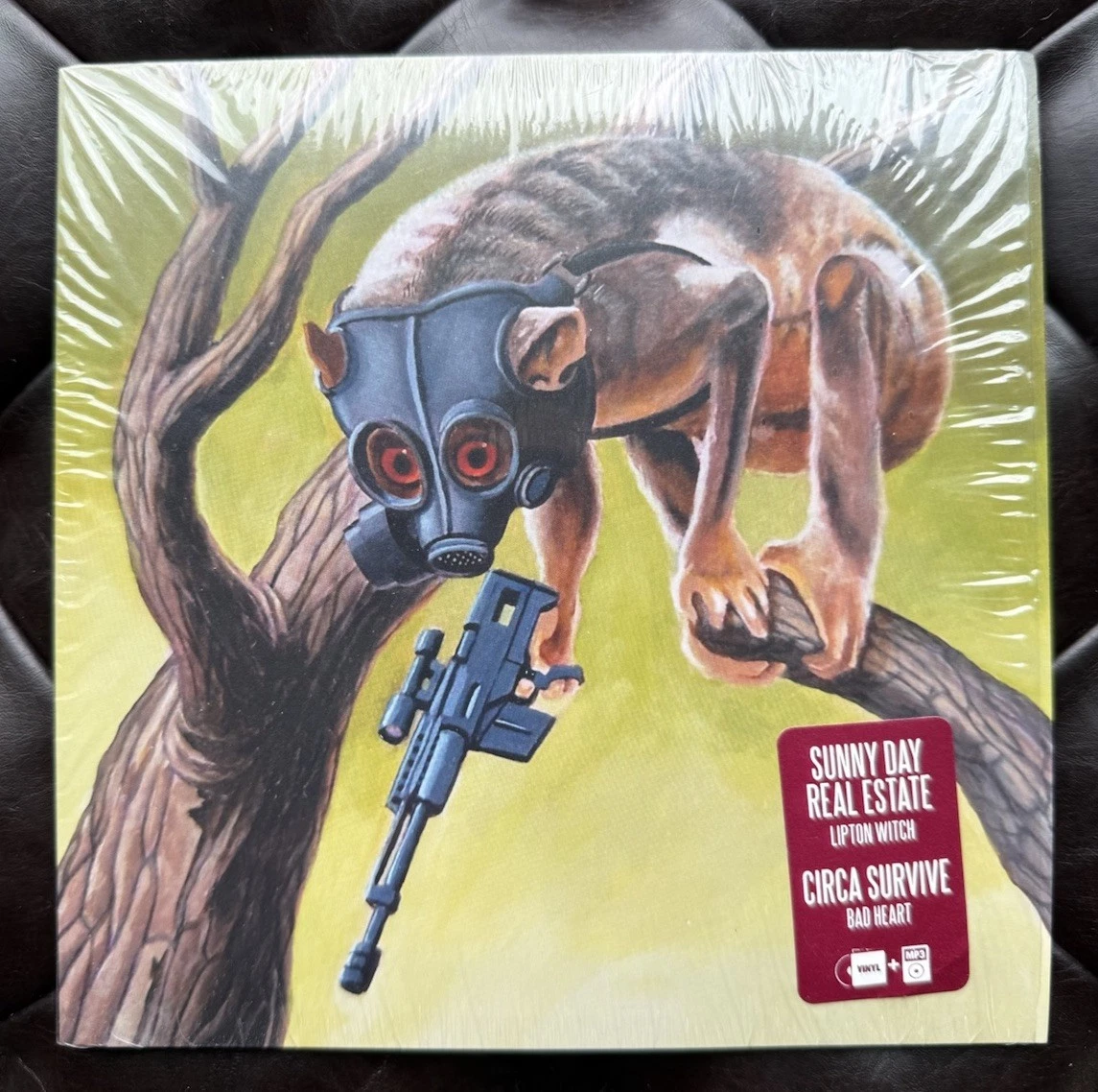Vinyl Records Circa Survive 7