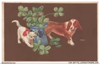CAR-AEFP16-0736-CAT - Cat And Dog - Flowers