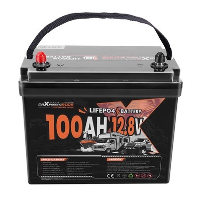 12V 100Ah LiFePO4 Battery for Marine Cold Weather Charging Protection, BMS