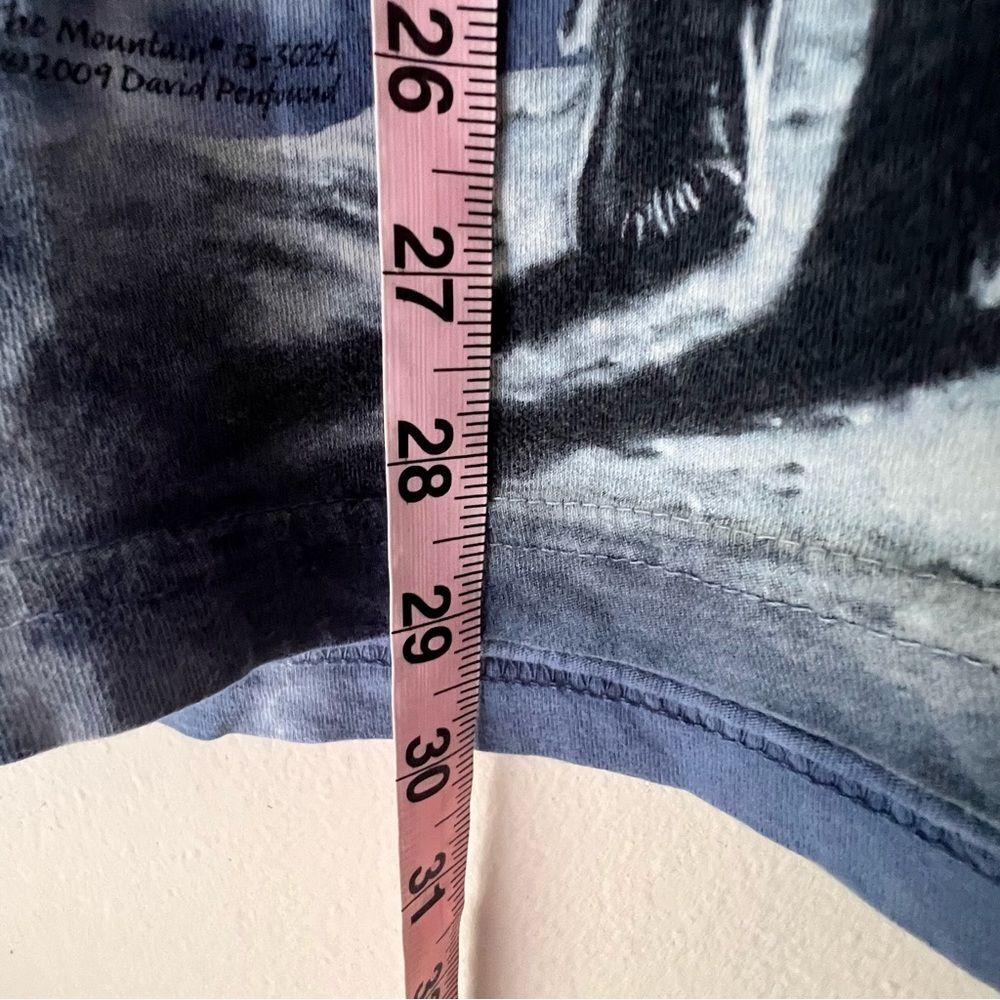 THE MOUNTAIN EVOLUTION - image 7