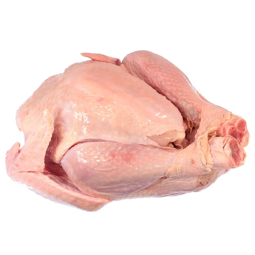 (15,70 €/kg) Truthahn, Pute Handelsklasse A - Bild 1 von 2