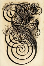 Beautiful Spiral Calligraphy from 1655 by Paul Franck - Image - 5 x 7 in Photo