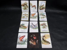 Lot 12 Fishing Swap Cards
