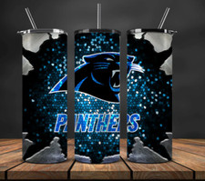 20 oz Carolina Panthers Stainless Steel Tumbler Metal Straw Peek a Boo Bling