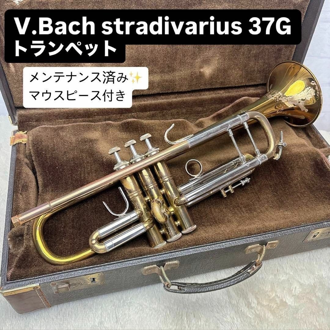 Bach Stradivarius 37G Bb Trumpet Maintained Brass instrument Case 