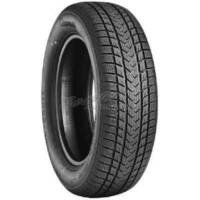 1x 175/65 R17 87V Gripmax Winter-Reifen SureGrip e-Winter 3PMSF | 38412
