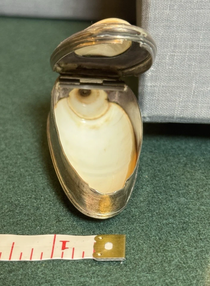 Antigua caja de baratijas georgiana de plata de ley - Londres 1819, diseño de carcasa esmaltada Foto 4 de 4