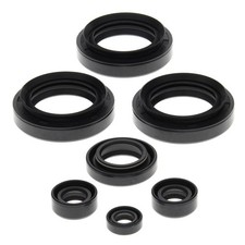 Vertex-Winderosa Engine Oil Seal Kit Arctic C...