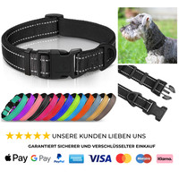 Hundehalsband Neopren Nylon Verstellbar Reflektierend Schwarz